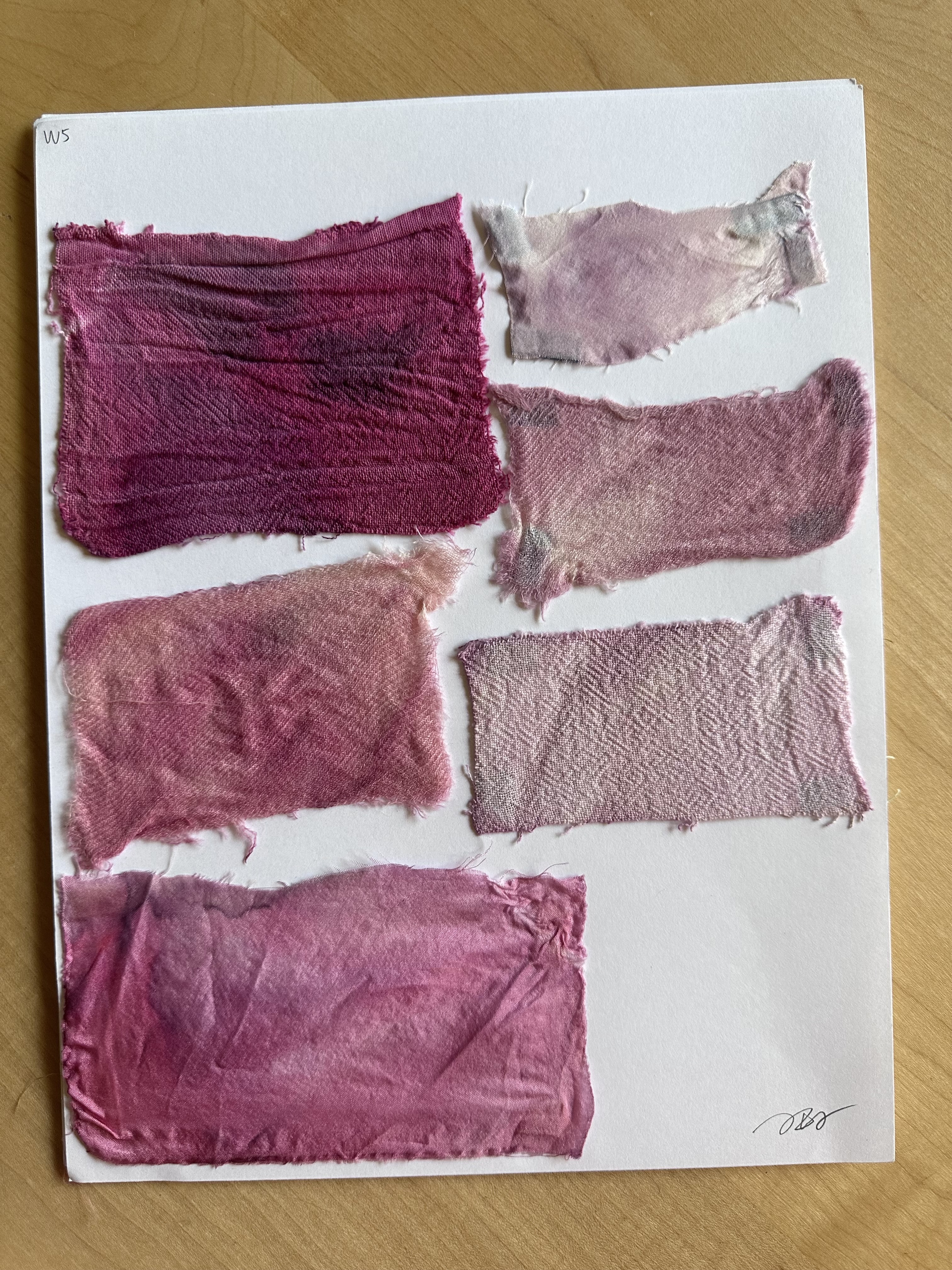 Cochineal Dye Image 4